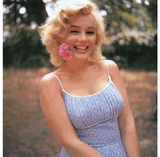 111342-1464257219-Cover-Marilyn copy-xl-1.jpg